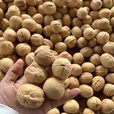 Kaghzi Akhrot-Walnuts in Shell